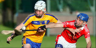 Image result for hurling