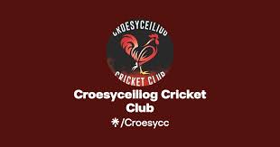 Image result for Croesyceiliog Cricket Club