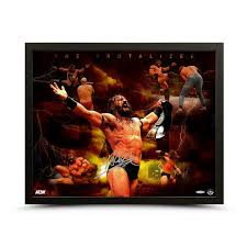 Image result for brutalizer