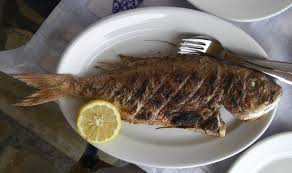 Image result for Pagrus