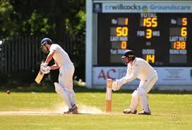 Image result for Yelverton Bohemians Cricket Club