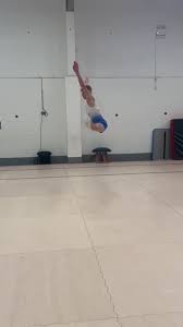Image result for Aero Gymnastics Club