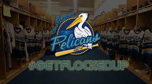 Image result for Pelicans Hockey Club