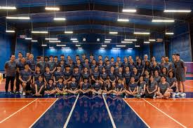 Image result for Cegelec Badminton Club