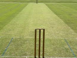 Image result for Burnley Cc