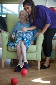 Image result for North Wales Boccia