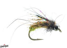 Attēlu rezultāti vaicājumam “pupa”