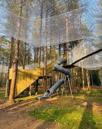 Image result for Go Ape! Alice Holt