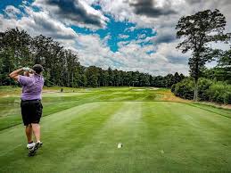 Image result for Blue Mountain Golf Centre