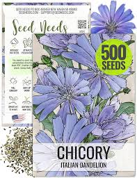 Image result for Cichorium intybus