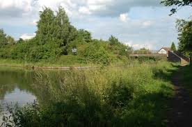 Image result for Barnt green