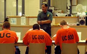 Attēlu rezultāti vaicājumam “juvenile”