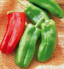 Afbeeldingsresultaat voor long red marconi sweet pepper