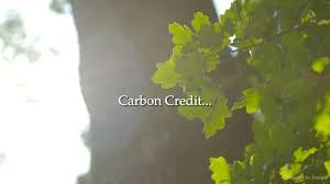 Image result for papop