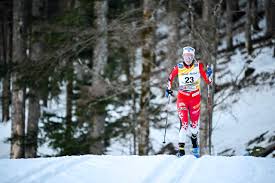 Image result for Scandinavian slope and cross country skiing