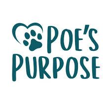 Image result for poes