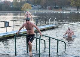 Image result for Serpentine Swimming Club