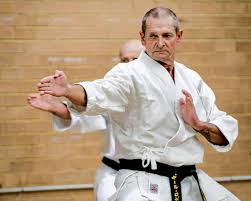 Image result for Norfolk Karate