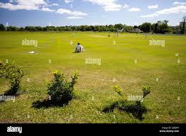 Image result for Narberth Cricket Club