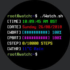 Image result for Linux watch