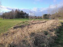 Image result for Fishburn W M C Bowls Club