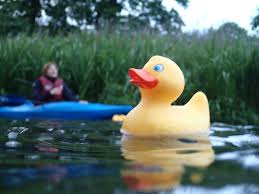 Image result for Bath Canoe Club