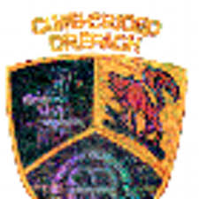 Image result for Drefach Cricket & Football Club