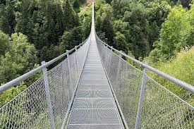 Image result for PONT DE SINGE