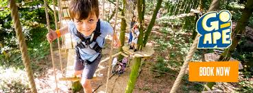Image result for Go Ape! Dalby