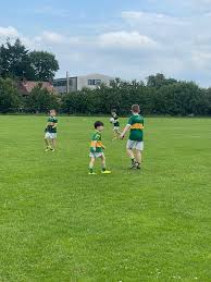 Image result for Cardinal O`donnell Gac