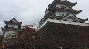 Image result for Hertfordshire Iga Ryu Ninjutsu