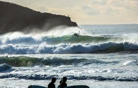 Image result for seppi tehron