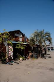 「山田カネヨ」の画像検索結果