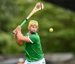 Image result for hurling