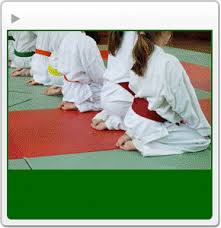 Image result for Epsom & Ewell Karate Club