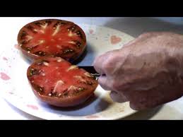 Afbeeldingsresultaat voor carbon tomato