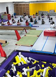 Image result for Croydon Gymnastics For Girls