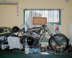 Image result for Bay Dragons CC