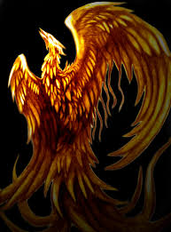 http://t0.gstatic.com/images?q=tbn:ANd9GcTpE3eosWjqG44v3fgo515Pa-axoT-fDZQ9T6wygLJU8fNGK_K-