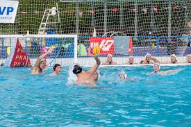 Image result for Cheltenham Swimming & Water Polo Club