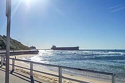 Image result for Pasha bulker