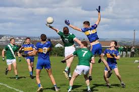 Image result for Shamrocks Hurling & Football Club
