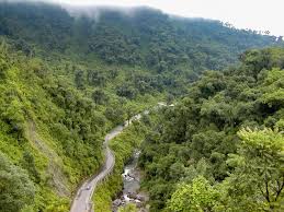 Výsledek obrázku pro yungas