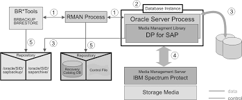 Image result for "Attachment Execution Services"