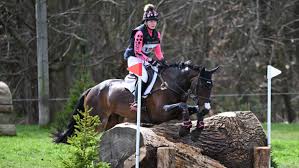 Image result for Kirtlington Park Polo Club