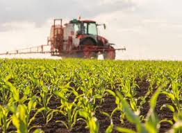 Image result for Holmans Smbc