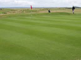 Image result for Maryport Golf Club Ltd