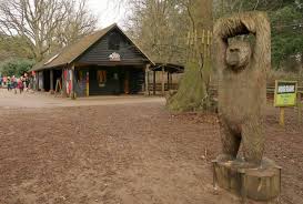 Image result for Go Ape! Thetford