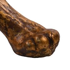 Image result for Pharaoh Gold 1981 Jaguar