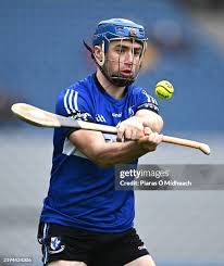 Image result for Sarsfields Hurling Club